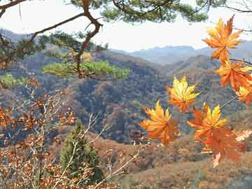 正品打胎药在线购买渠道城南医院有没有打胎药（城南医院有哪些科室）